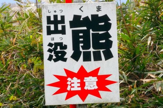 クマ1頭で「列車も高速も止まる」――数千万円の損失を招く衝突事故、物流網の脆さを克服する新たな防衛線とは