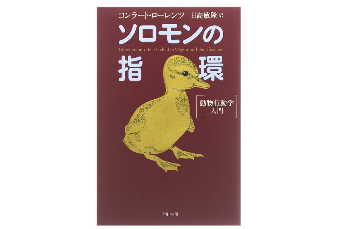 コンラート ローレンツの主著『ソロモンの指環―動物行動学入門 』（画像：早川書房）