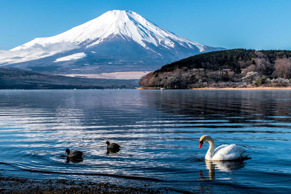 インバウンドが見た日本の風景イメージ(画像:Pexels)