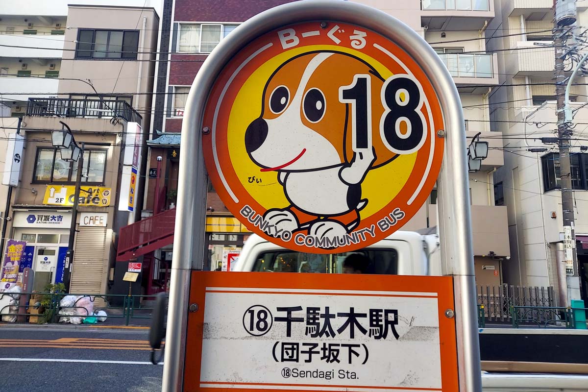 筆者が撮影した写真（画像：下関マグロ）