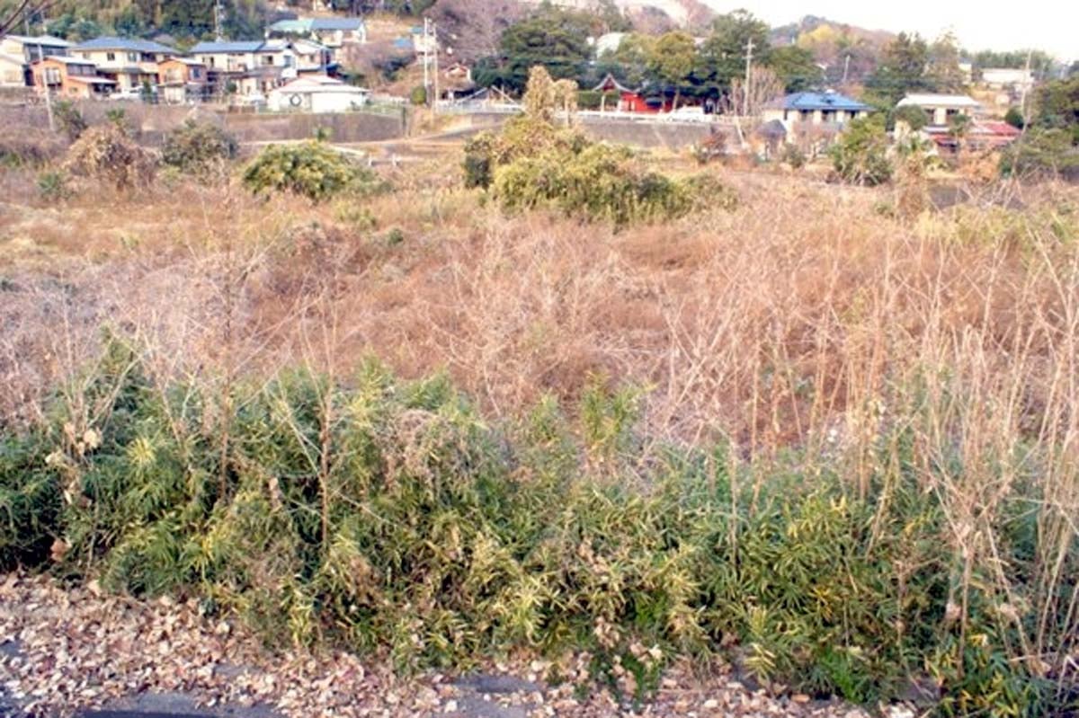 郊外の耕作放棄地イメージ（画像：写真AC）