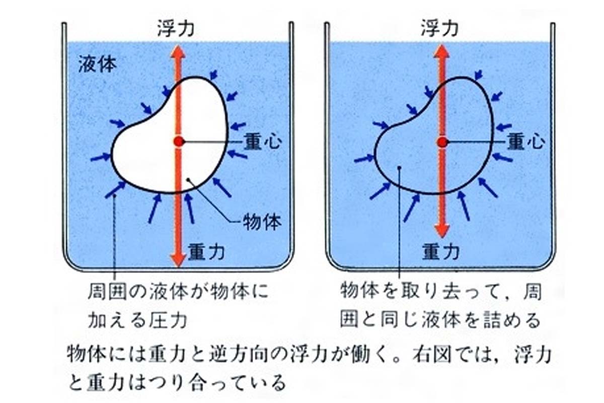 アルキメデスの原理。「日本大百科全書」より（画像：小学館）