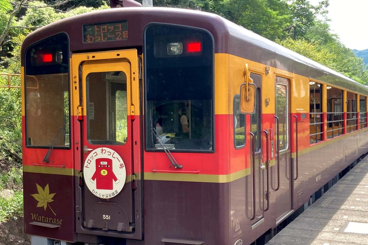 観光列車「トロッコわっしー号」（画像：写真AC）