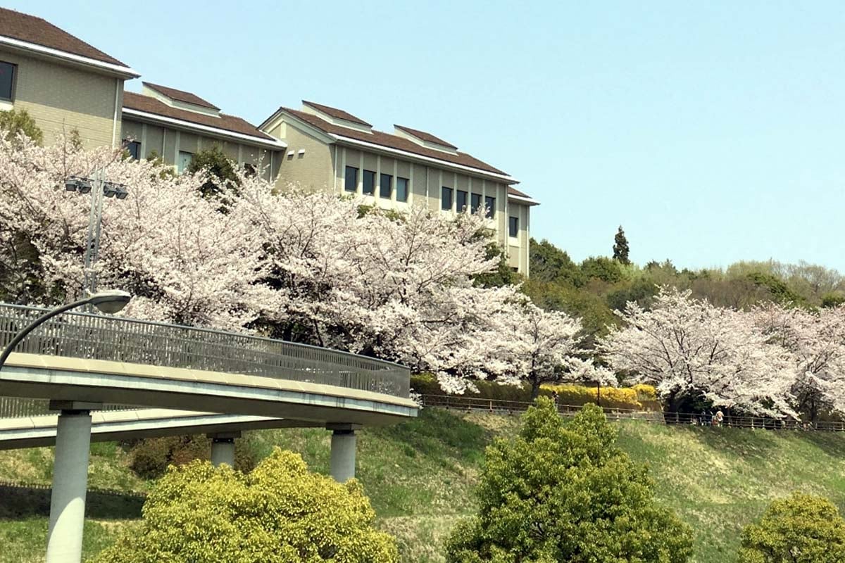 東京都立大学（画像：写真AC）