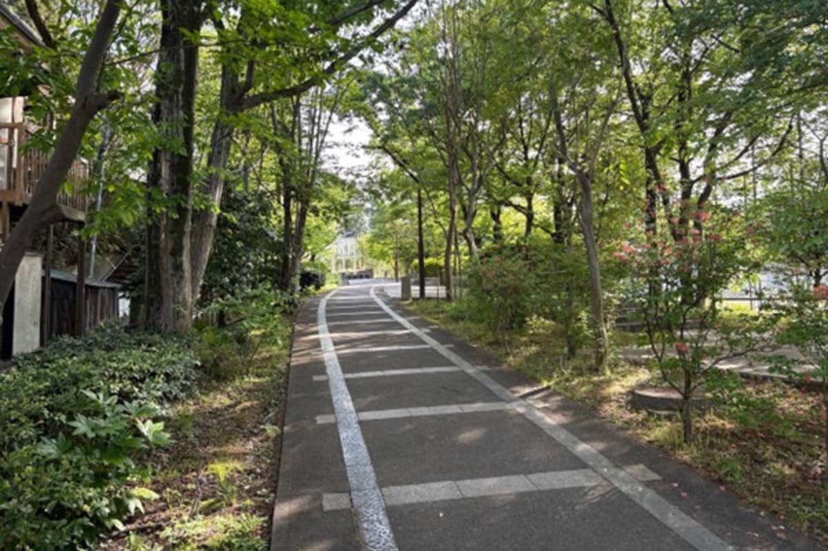 筆者が撮影した写真（画像：宮田直太郎）