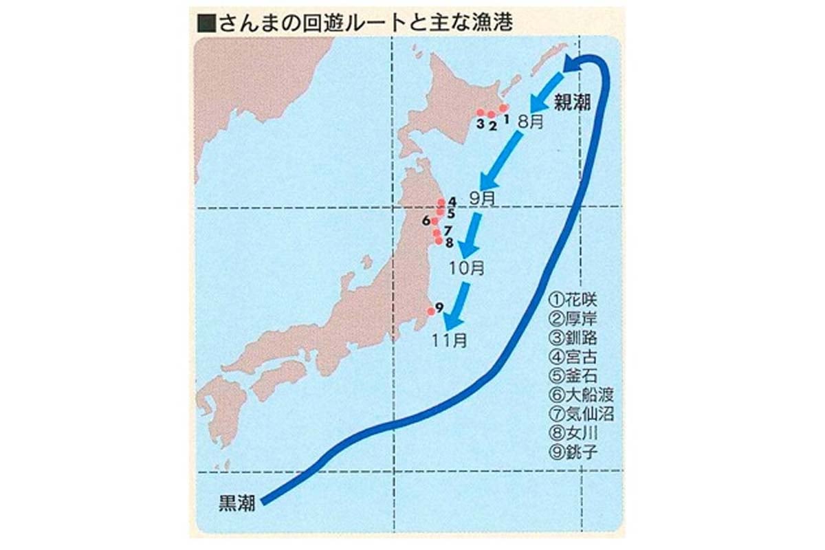 さんまの回遊ルート（画像：全国さんま棒受網漁業協同組合）
