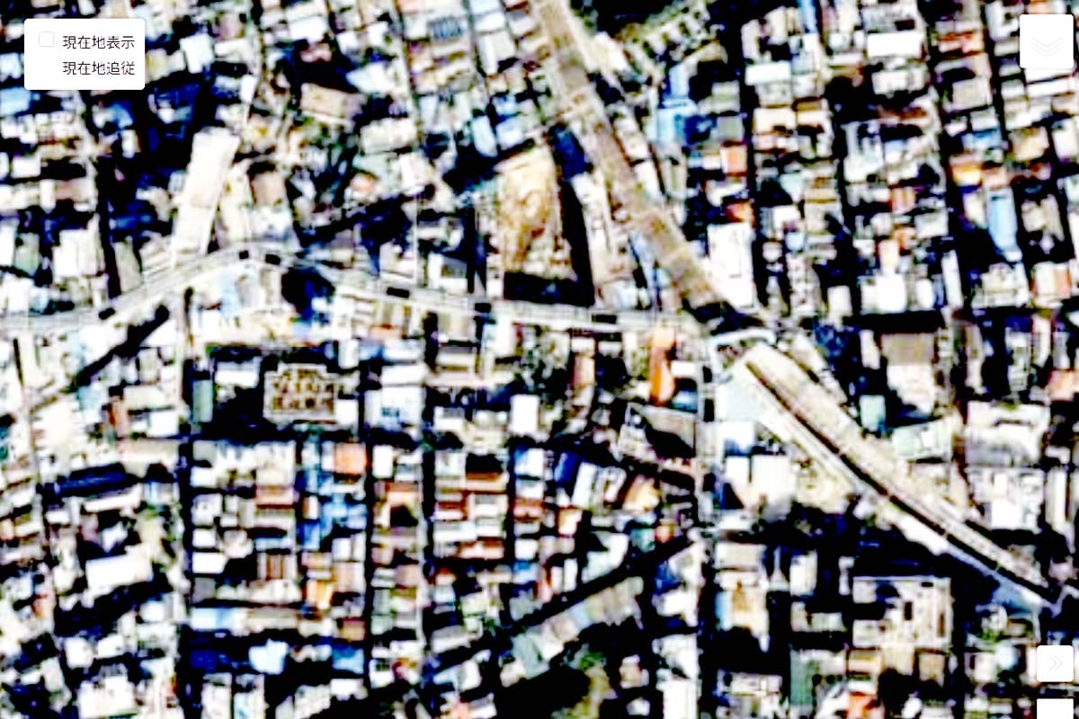 1990年頃の「大山駅」周辺の航空写真（画像：国土地理院）