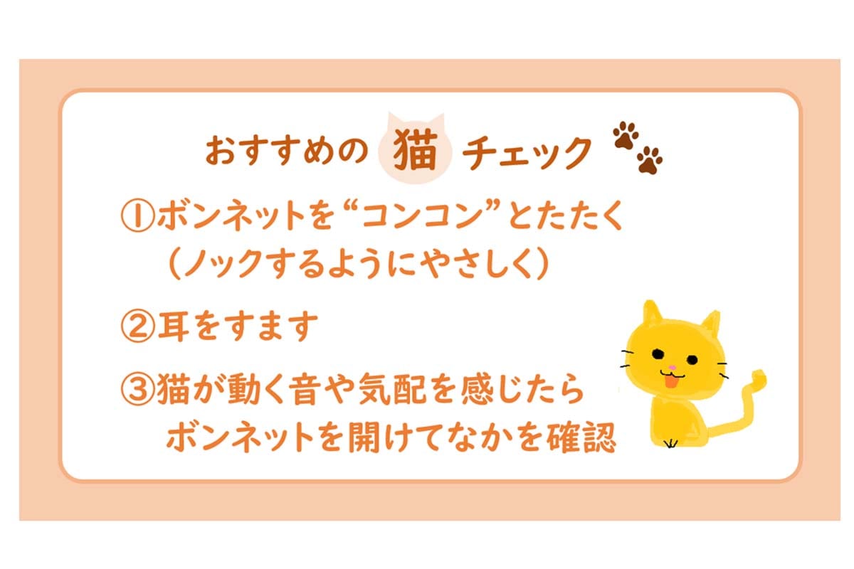 猫チェックの概要（画像：日本自動車連盟）