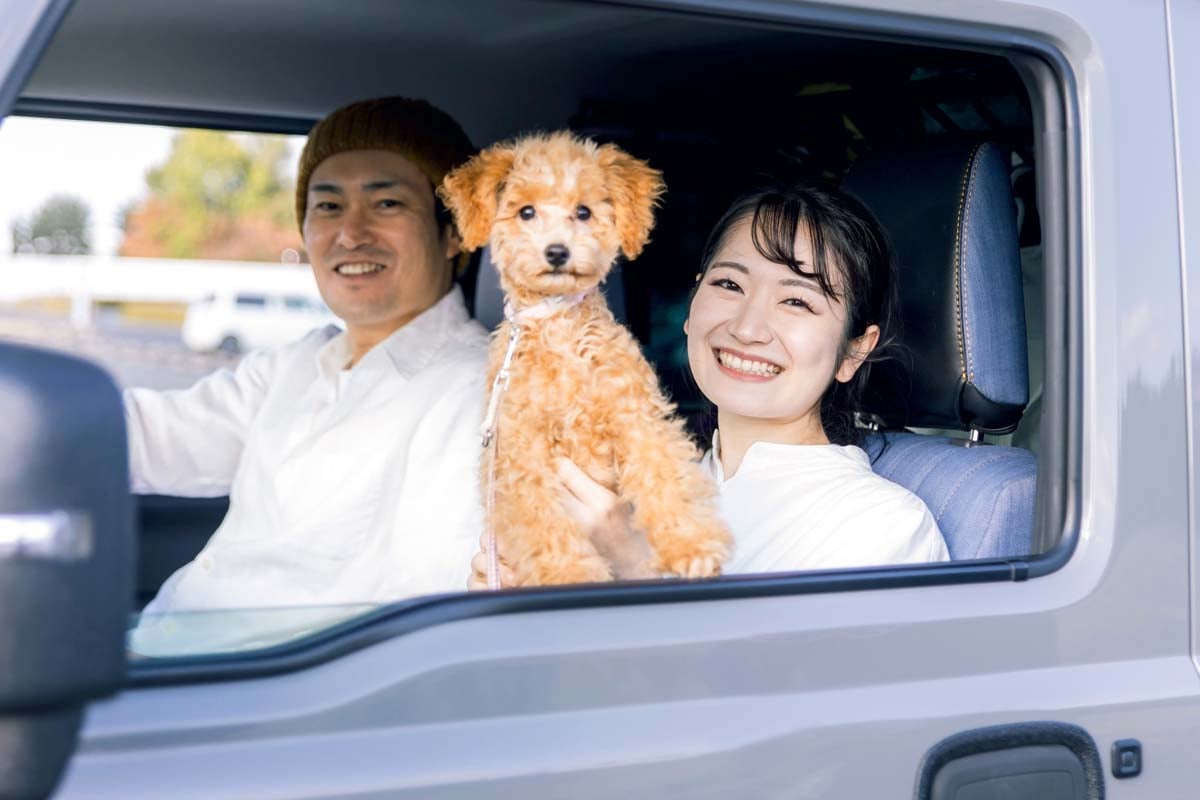 愛犬と国内宿泊旅行イメージ（画像：写真AC）