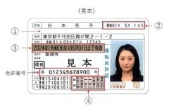 「日本のルールをちゃんと学びたい」 外免切替の厳格化、もはや“試験”だけの話ではない？ 2.5倍に増えた免許取得が変える、教習所の新たな役割