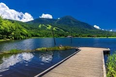 猛暑で「夏の観光地」大再編か？ 検索277%増で注目集める「長野県の高原リゾート」の正体
