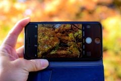 なぜ若者は「SNS映え」だけでお出かけスポットを決めなくなったのか？ コスパ重視が45%！ 若年層に広がる「選別型レジャー」の実態とは