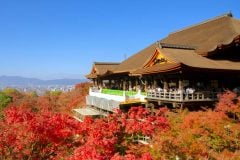 なぜ台湾人は「東京・大阪・京都」から離れ始めたのか？ 旅行者比率が3年連続低下！ リピーターが生む「再訪の時代」に何が起きているのか