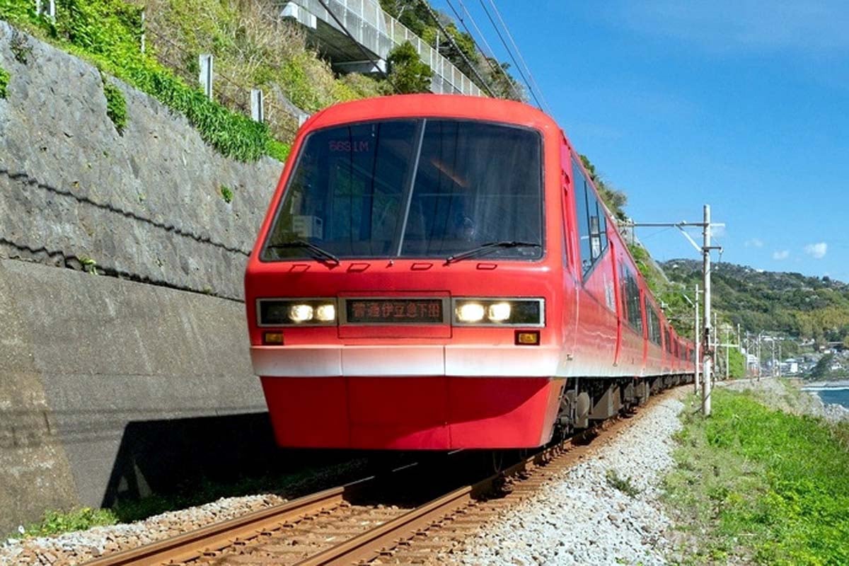 まさかの改名】伊豆急行・河津駅が「爬虫類と両生類の聖地」に！ 年額