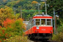【悲鳴をあげる行楽地】箱根で1泊350円の宿泊税、アリ？なし？ なぜ「ごみ・道路・消防」まで支える？ 観光振興に限らない法定外普通税の狙いとは